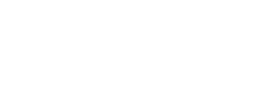 SD — Strategy & Deployment
